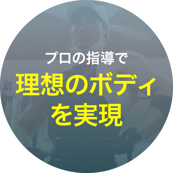 プロの指導で理想のボディを実現