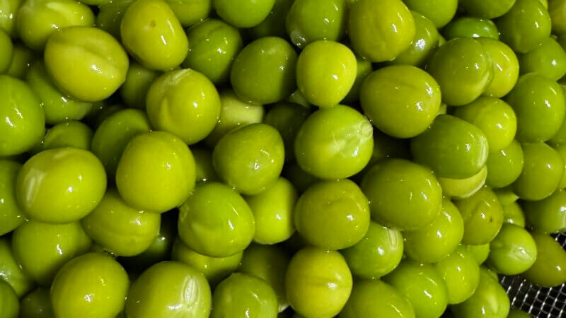 野菜いっぱい🫛