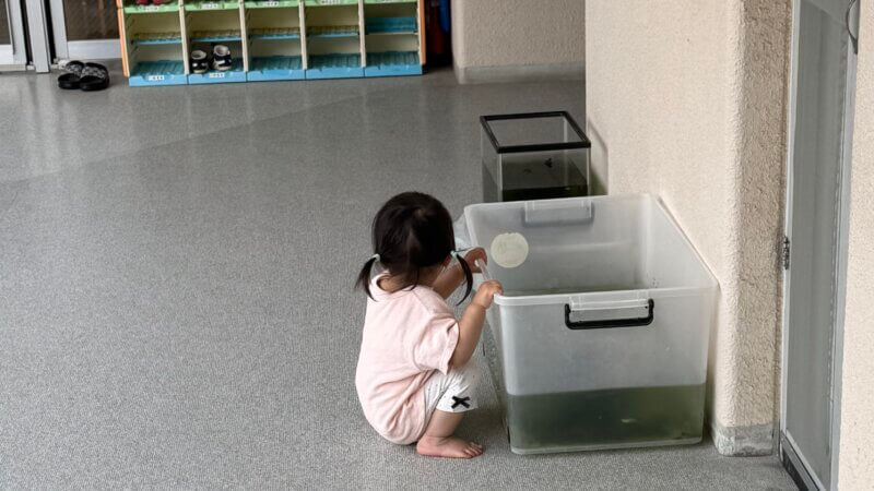 日常