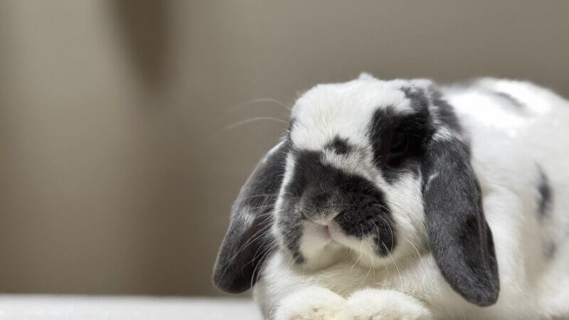 今年もお世話になりました！