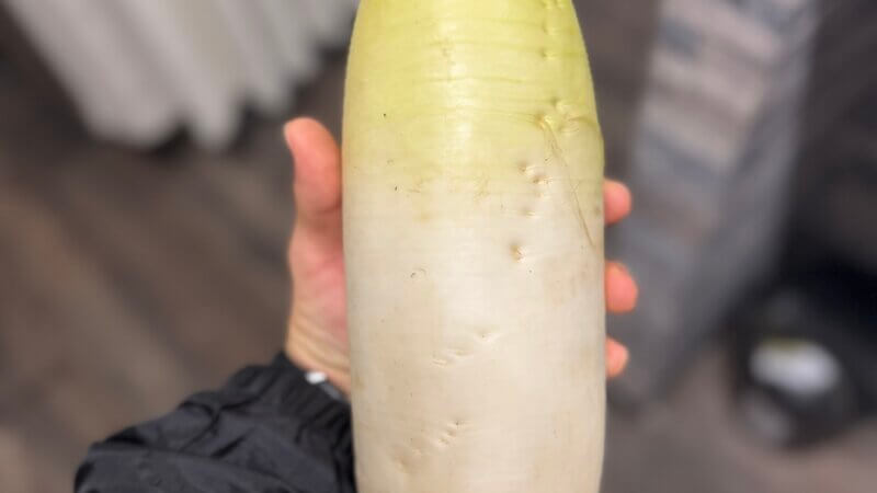 いただきました🙇‍♂️