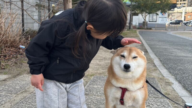 わんわんと🐶